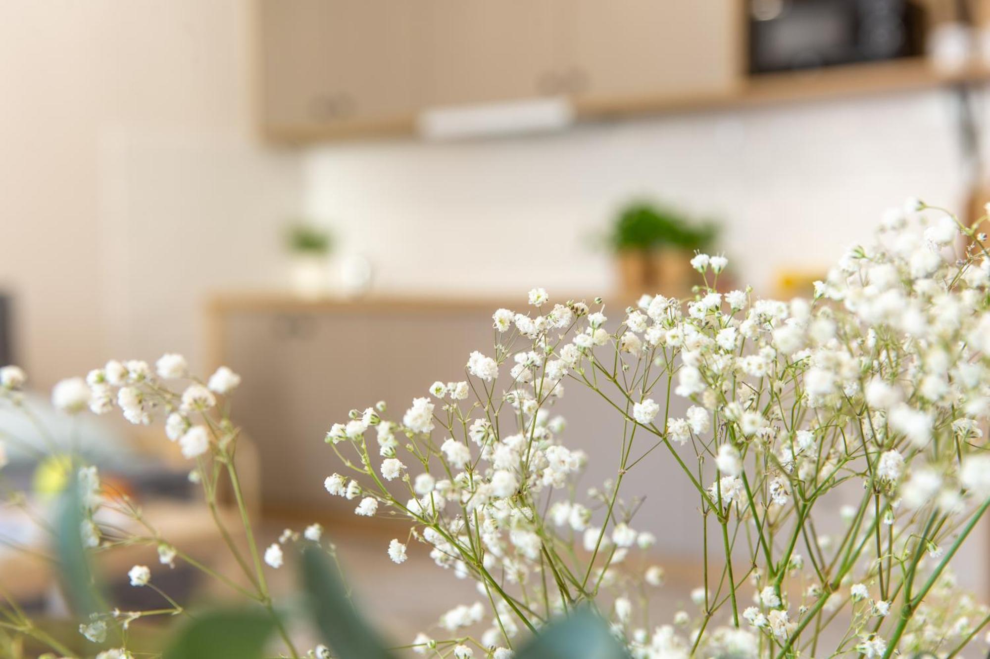Apartamenty Kdn Na Rysiej Катовице Екстериор снимка